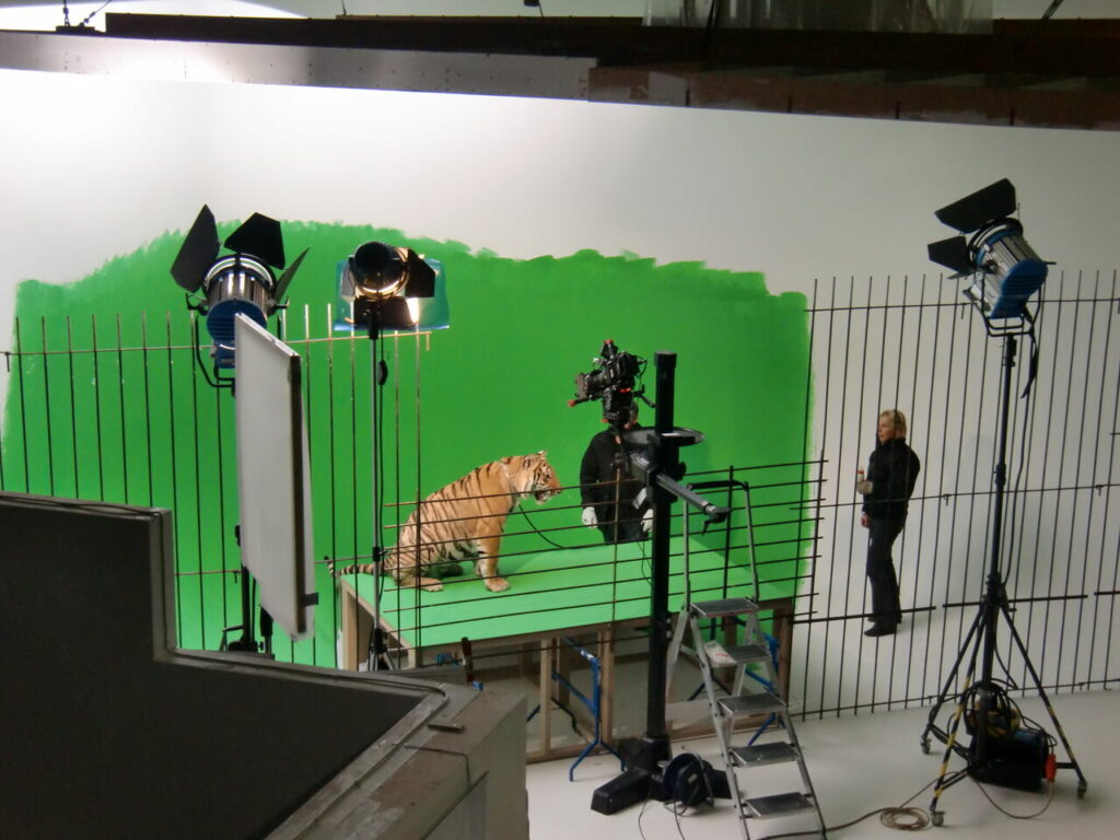 BOSCH Messehighlight in AR - Behind the Scenes mit einem Tiger vor Greenscreen